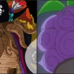 One Piece: A Terceira Akuma no Mi do Barba Negra Explicado