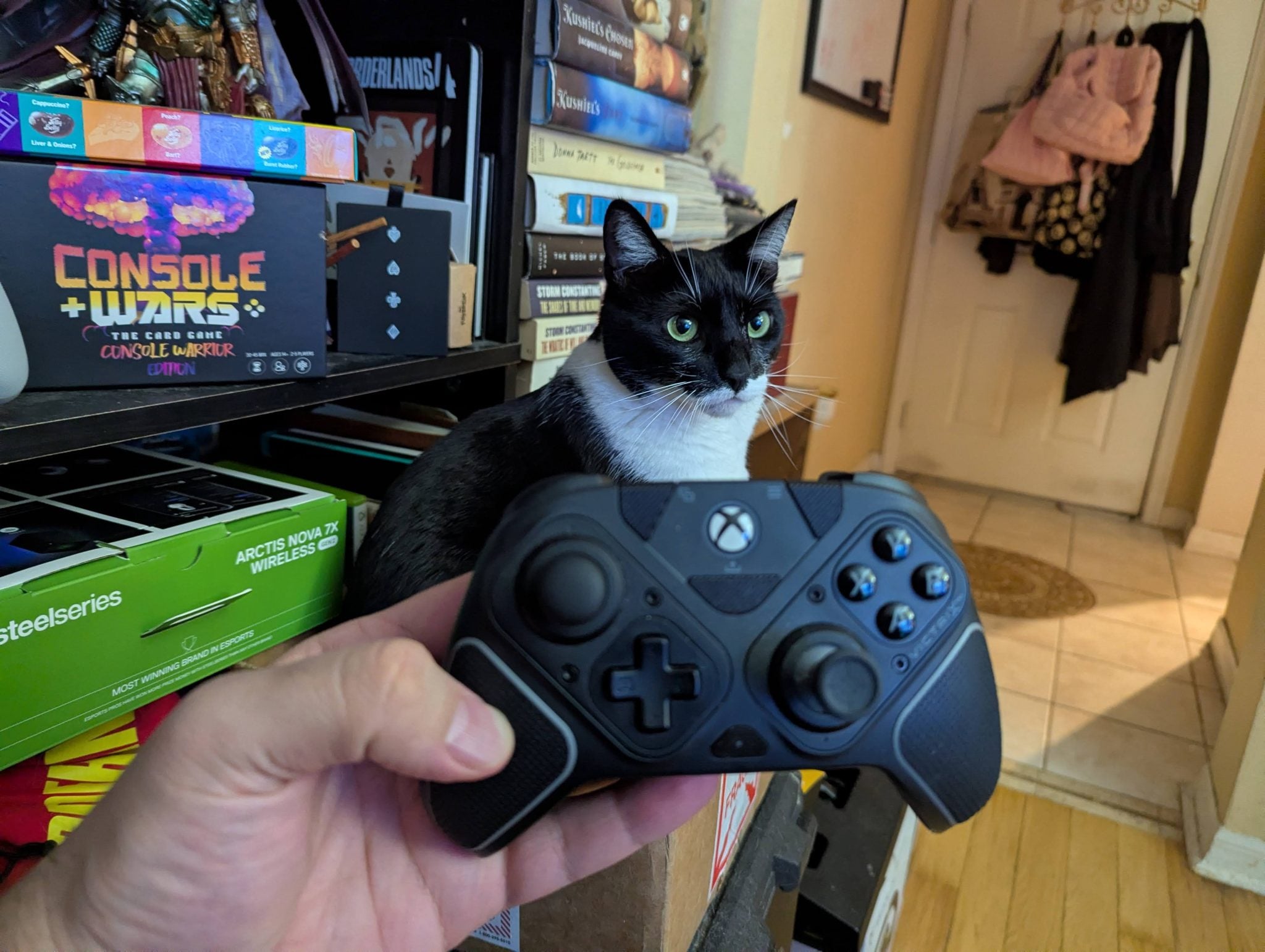 A person holding an Xbox controller in front of a black and white cat, with various board games and books in the background.